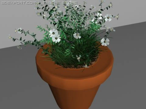 doniczka Model 3D .c4d .max .obj .3ds .fbx .stl .blend 