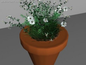 flower pot 3Dモデル