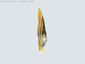 fish butterfly 3D-Modell