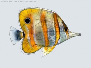 fish butterfly 3D-Modell