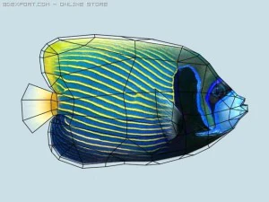 Papageienfisch 3D Modell
