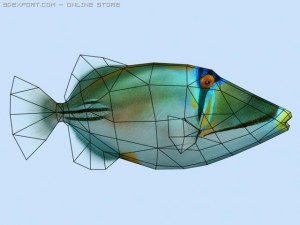 picasso triggerfish 3D Model
