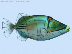 picasso triggerfish 3D Model