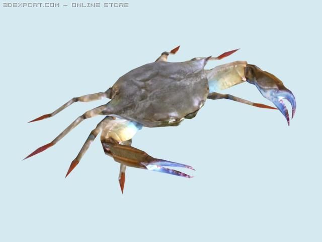crab 3D Model .c4d .max .obj .3ds .fbx .stl .blend 