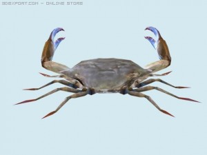 crab 3D Model