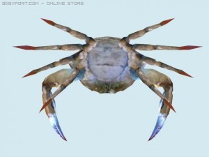 crab 3D Model