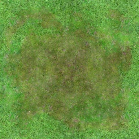 seamless 2048x2048 aerial forest clearing CG Texturen .c4d .max .obj .3ds .fbx .stl .blend 