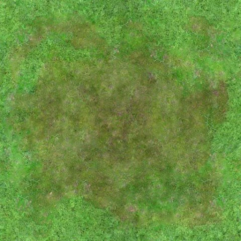 seamless 2048x2048 aerial forest clearing CG Textures .c4d .max .obj .3ds .fbx .stl .blend 