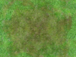 seamless 2048x2048 aerial forest clearing Tekstur CG