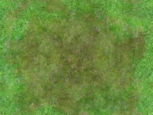 seamless 2048x2048 aerial forest clearing CG Textures