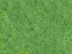 seamless 2048x2048 aerial forest type a Tekstur CG