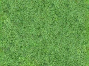 निर्बाध 2048x2048 हवाई वन प्रकार ए CG टेक्स्चर्स