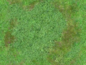 seamless 2048x2048 aerial forest type b Tekstur CG