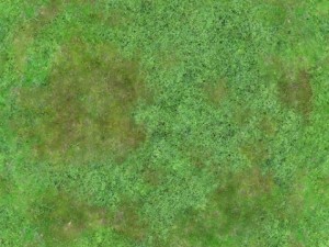 seamless 2048x2048 aerial forest type c Tekstur CG