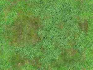 seamless 2048x2048 aerial forest type c CG Textures