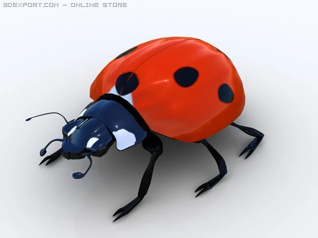 joaninha Modelo 3D .c4d .max .obj .3ds .fbx .stl .blend 