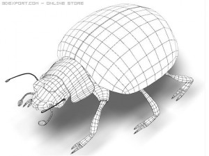 ladybird 3D 모델