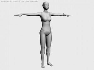 femail body 3Dモデル