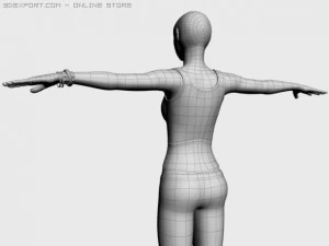 femail body 3D Model