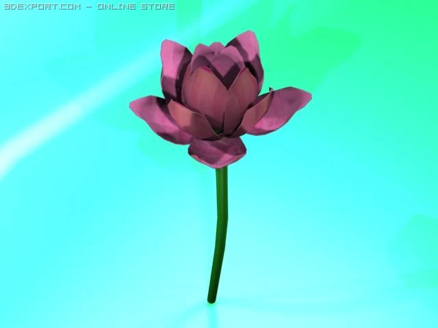 lotus flower 3D Model .c4d .max .obj .3ds .fbx .stl .blend