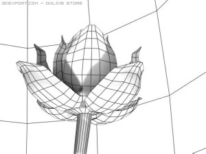 lotus flower Modelo 3D