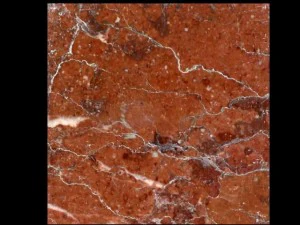 дизайн кухни 3D Модель