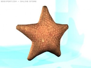 starfish Modelo 3D