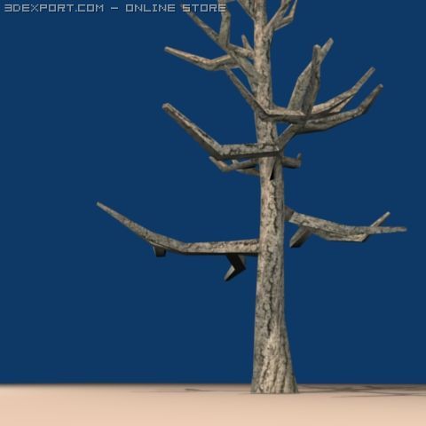 dead tree in the winter with no leaves 3D Модель .c4d .max .obj .3ds .fbx .stl .blend 