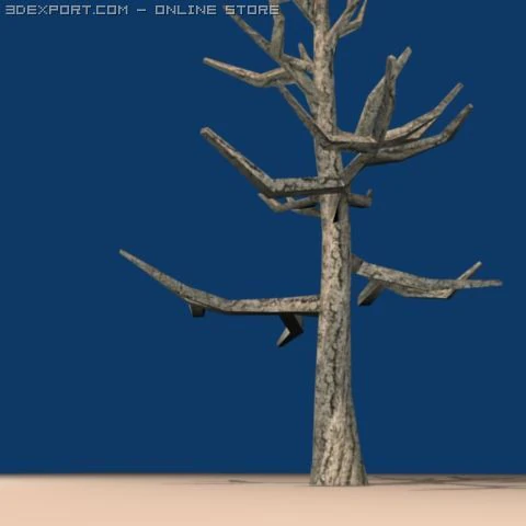dead tree in the winter with no leaves 3D Model .c4d .max .obj .3ds .fbx .stl .blend 