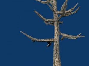 dead tree in the winter with no leaves Modèle 3D