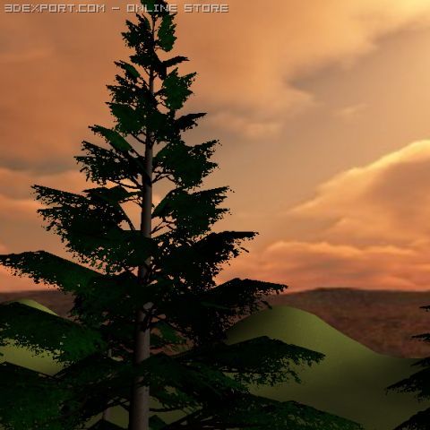 healthy tree low polygon 3D Model .c4d .max .obj .3ds .fbx .stl .blend 
