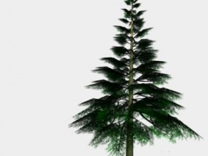 healthy tree low polygon 3D Model
