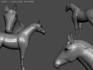 horse 3D Model