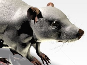 jenni mouse 3Dモデル