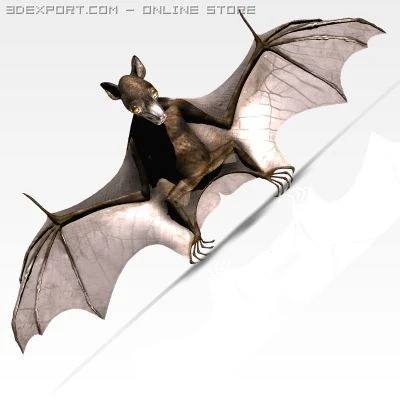 pipistrello assassino Modello 3D .c4d .max .obj .3ds .fbx .stl .blend
