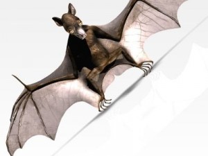 killer bat 3Dモデル