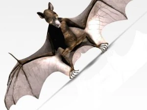 杀手蝙蝠 3D 模型