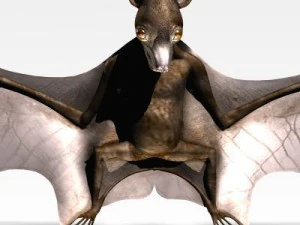 pipistrello assassino Modello 3D