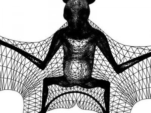 killer bat Modello 3D