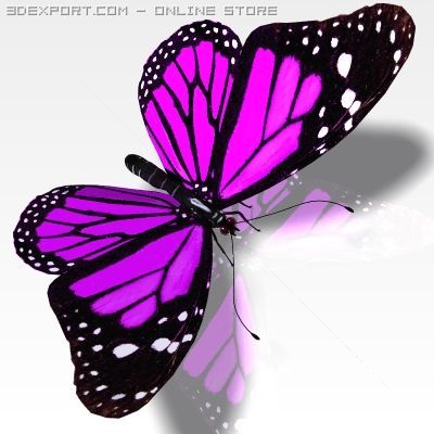 pretty butterfly 3Dモデル .c4d .max .obj .3ds .fbx .stl .blend 