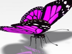 pretty butterfly 3Dモデル