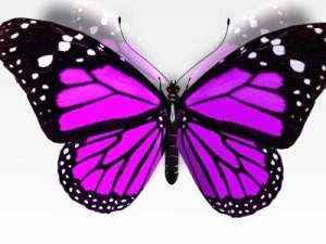 pretty butterfly 3D Model