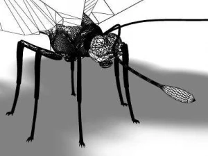 pretty butterfly 3D Model