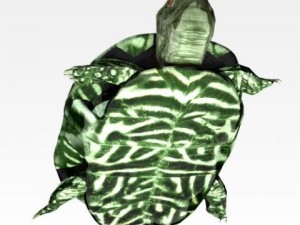 ocean turtle 3D मॉडल
