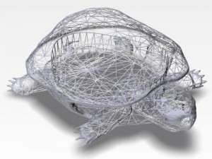 ocean turtle 3D मॉडल