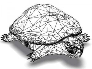 ocean turtle 3D मॉडल