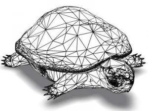 ocean turtle 3D Model