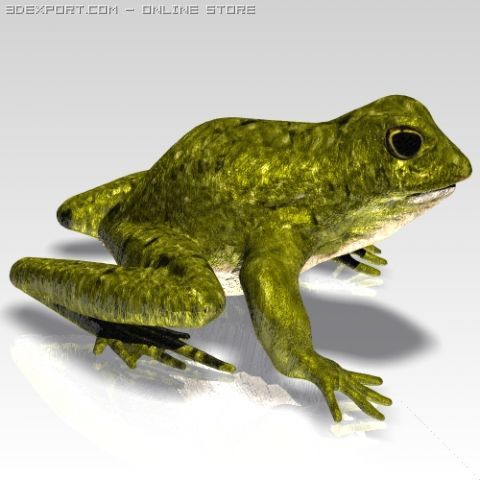 crazy frog 3D 模型 .c4d .max .obj .3ds .fbx .stl .blend 