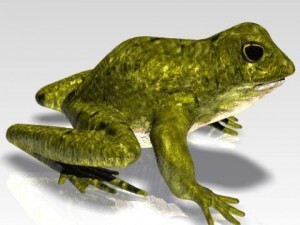 crazy frog Model 3D