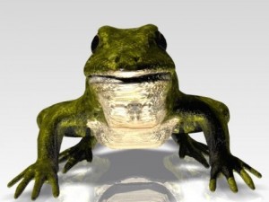 crazy frog 3D 模型